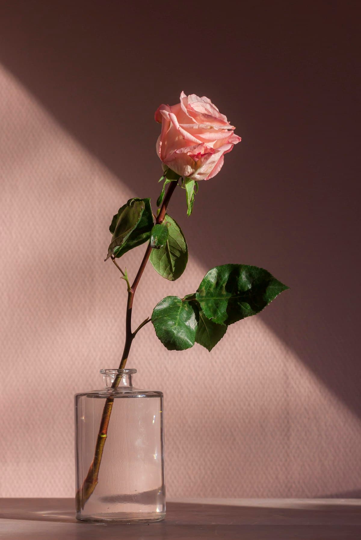 A calm Meraki treatment room framed in reclaimed teak, lit by a single warm lamp